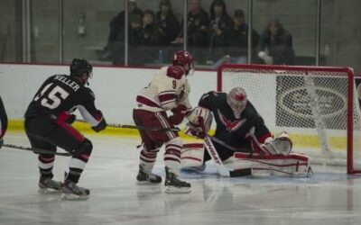 Clipped by the Wings