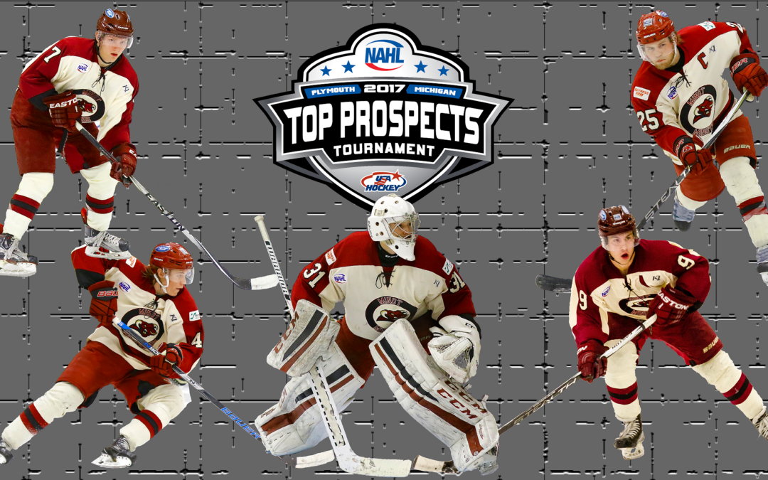 Tauros Shine at Prospects