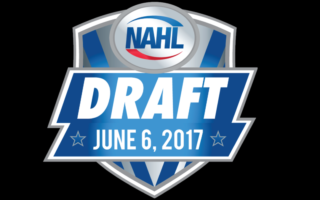 2017 Draft Preview