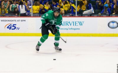 Meet the Tauros: David Raisanen