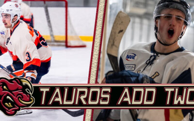 Tauros Add Two