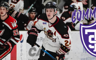 Warnert Commits