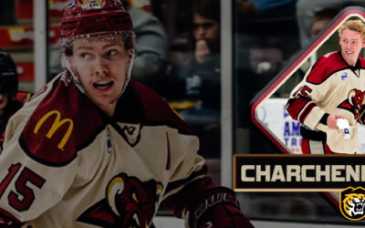 Charchenko Commits
