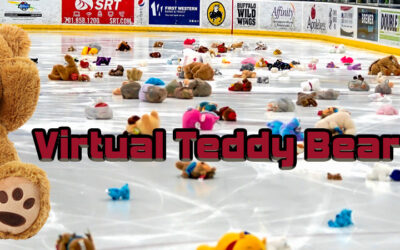 Virtual Teddy Bear Toss Returns