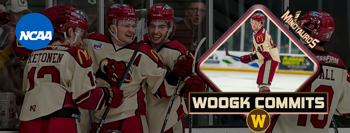 Woogk Commits copy