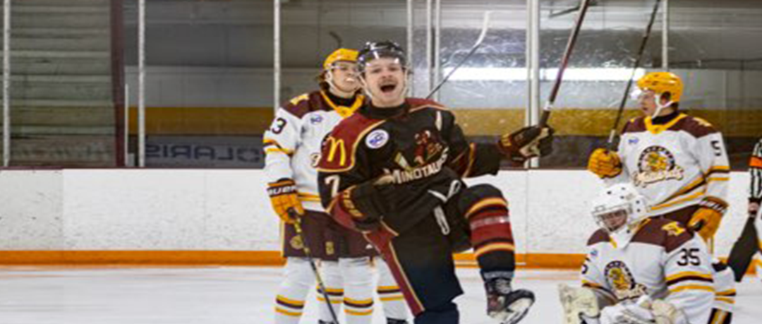 RECAP MALLARDS PIC