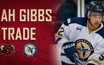 Tauros Aquire Forward Noah Gibbs via Trade