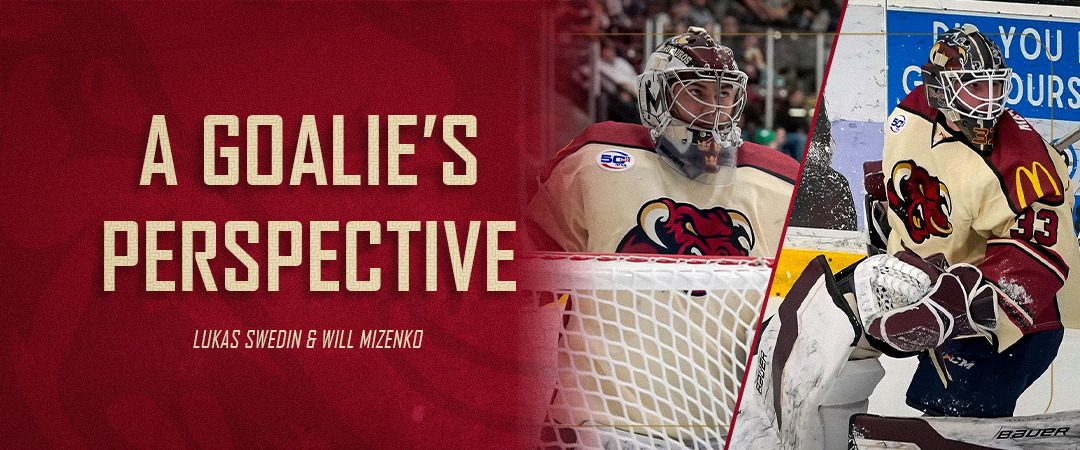 Goalie Story